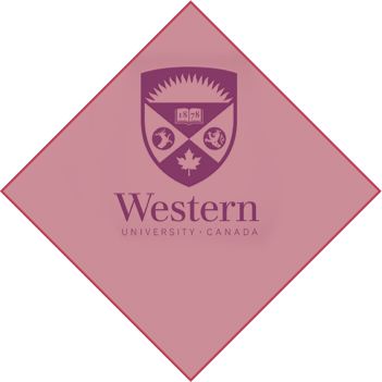 加拿大本科留学